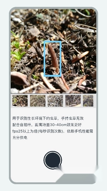 乐见虫草软件2024最新版