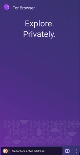 TORBrowser洋葱浏览器免费2025最新版(1)