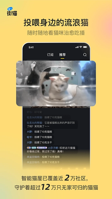 街猫正版图5