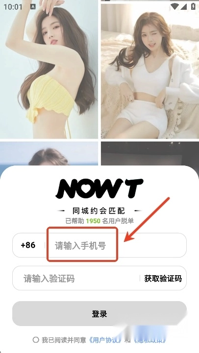 NOWT聊天软件2025最新版