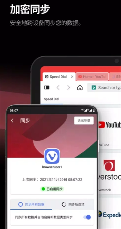 Vivaldi游览器2025最新版图1