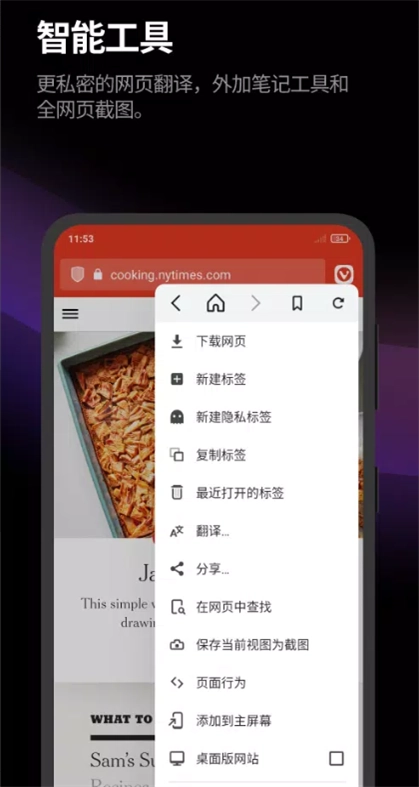 Vivaldi游览器2025最新版图2