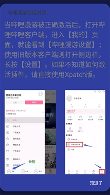 哔哩哔哩灰色模块大会员4K共存解锁版