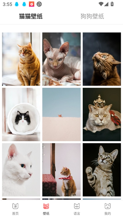 动物交流器2025最新版(1)