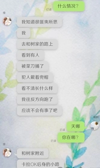 我的女友在被人追赶(1)