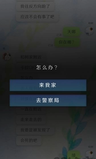 我的女友在被人追赶(3)