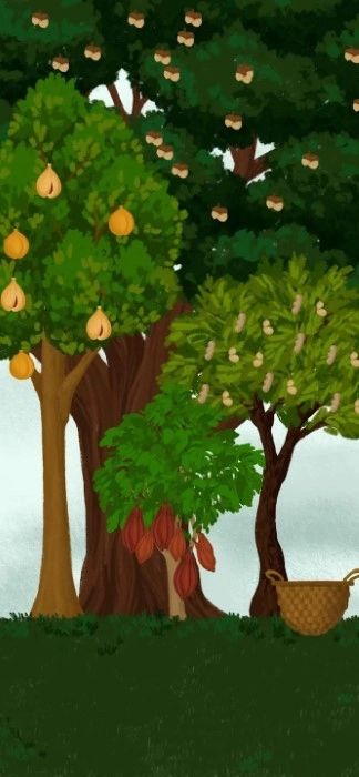 女巫的魔法商店(2)