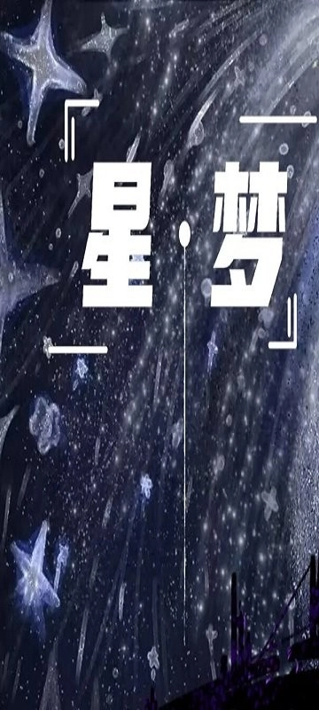 星梦打砖块图3