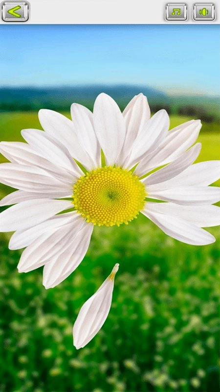 解压神器周末必备图3