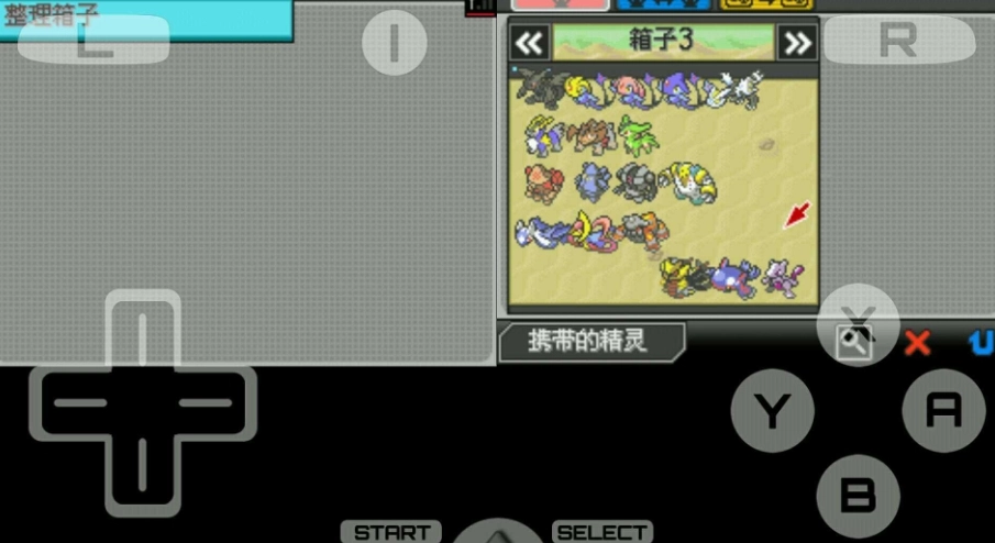 口袋妖怪超透黑图2