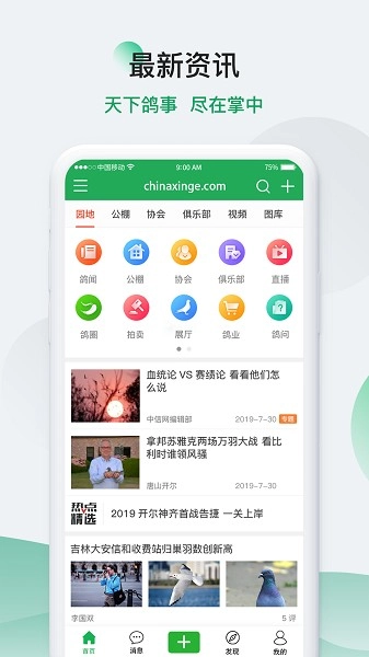 中国信鸽信息网最新版图3