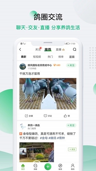 中国信鸽信息网最新版图2