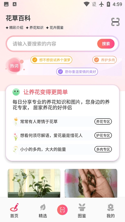 阑舒养花宝-图3