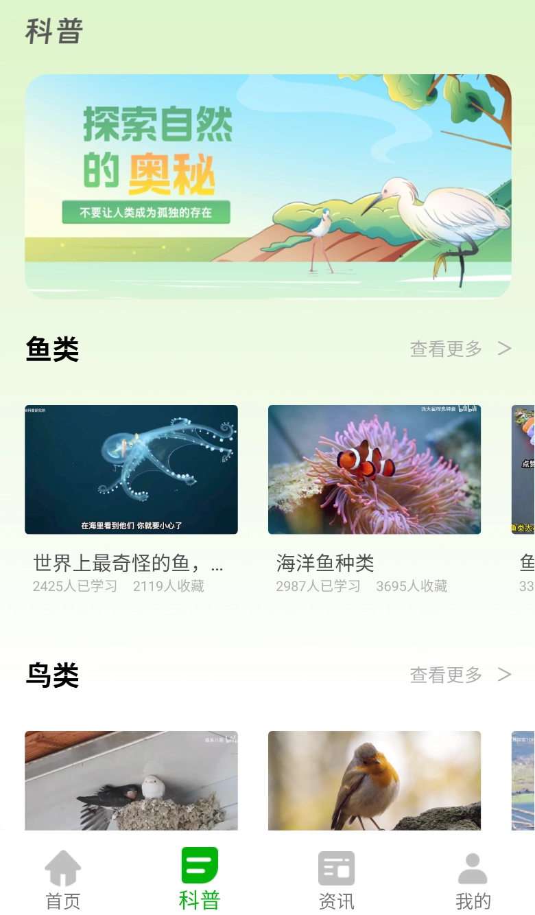 动物世界大全图2