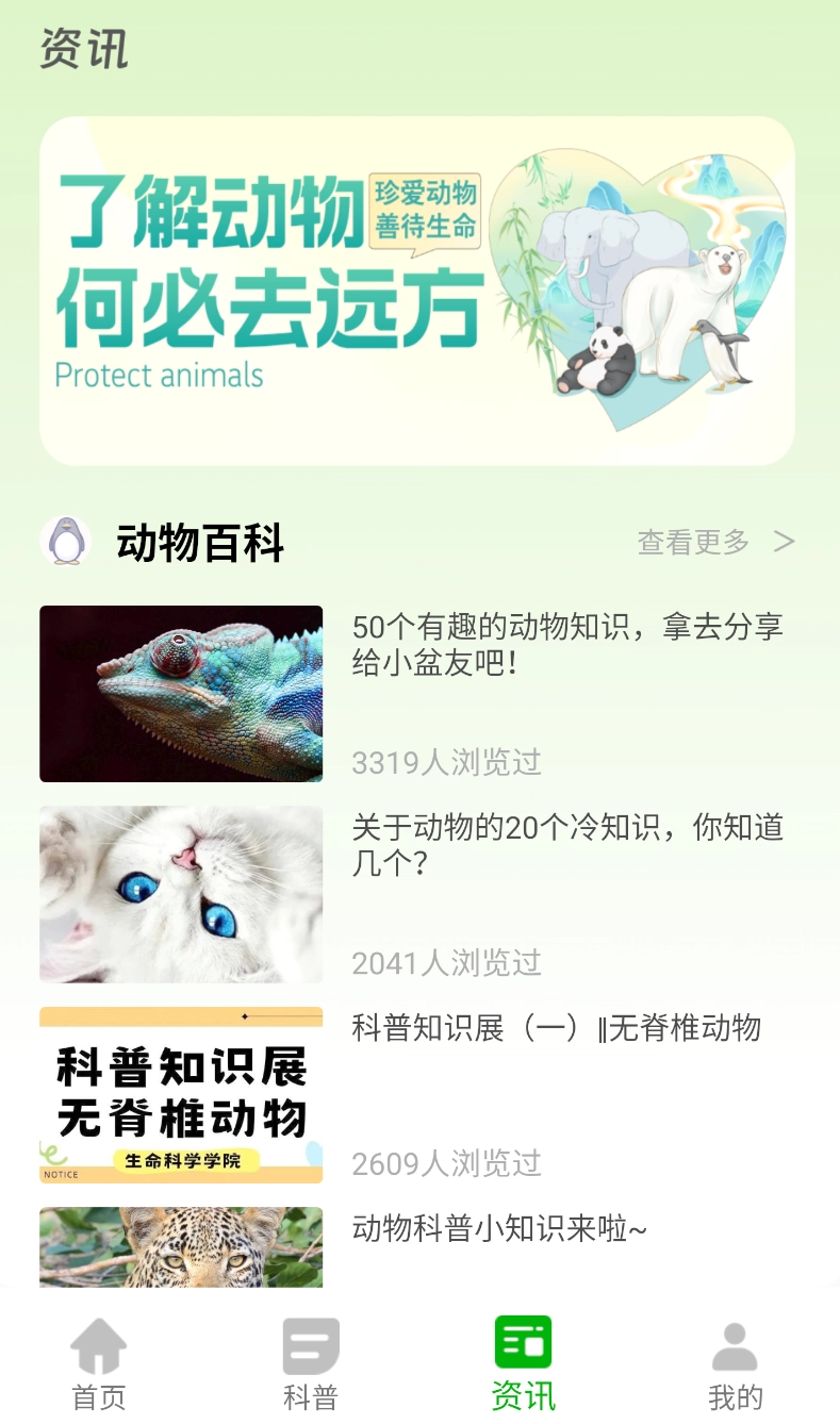 动物世界大全图3