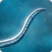 孢子模拟器手机版