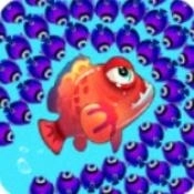 鱼类冲突大鱼吃小鱼游戏