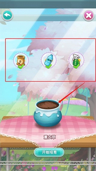 鲜花小镇免费版(2)