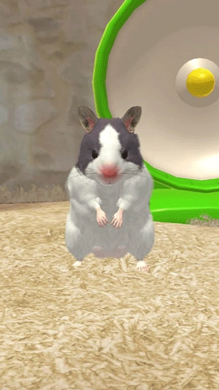 我的仓鼠正版(1)