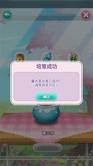 鲜花小镇免费版(1)