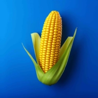 农场之地汉化版