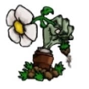 PVZ苏戏版v1.0.7by冲击者v13