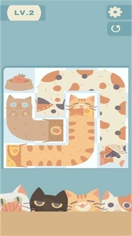 管道猫咪最新版图2