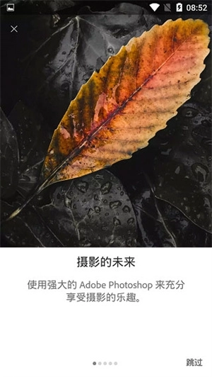 lightroom调色软件手机版-图4