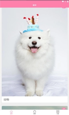 金鸡智库app1.0.3-图4