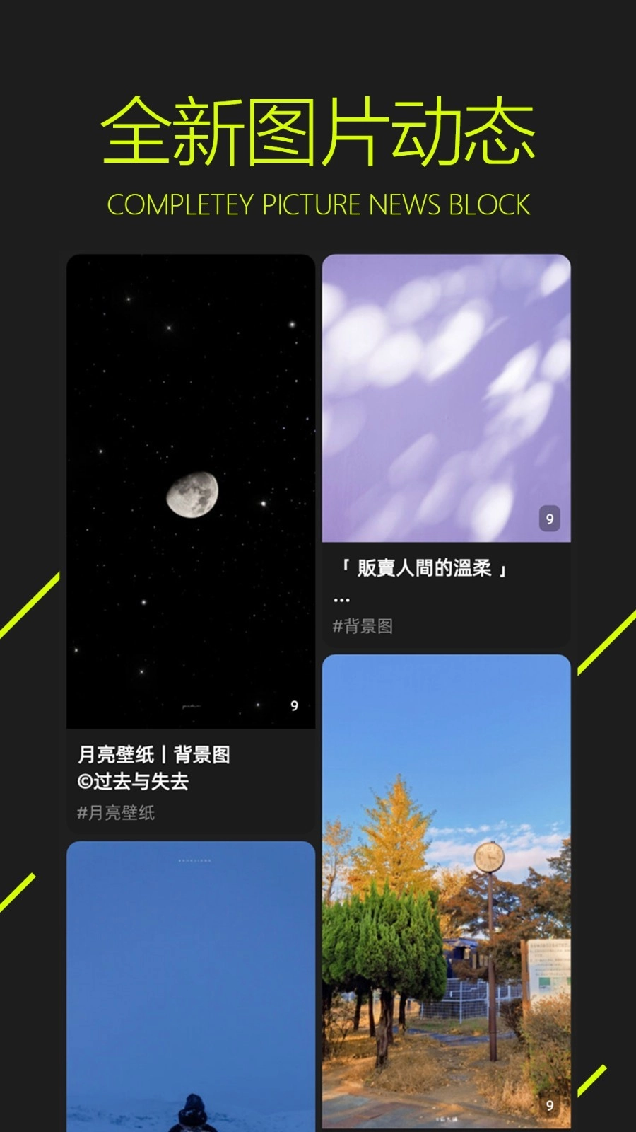 图凌壁纸app官方最新版5.0.3.7(3)