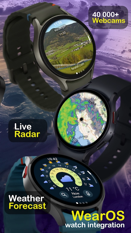 Ventusky安卓版(2)