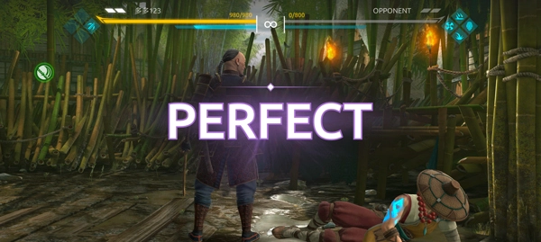 Shadow Fight 4截图4