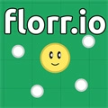 florr.io 
v1.1.2