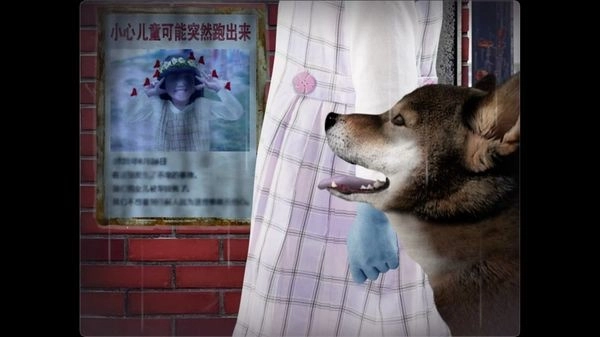 翌日波奇狗的历险记(3)