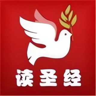 读圣经新约全书