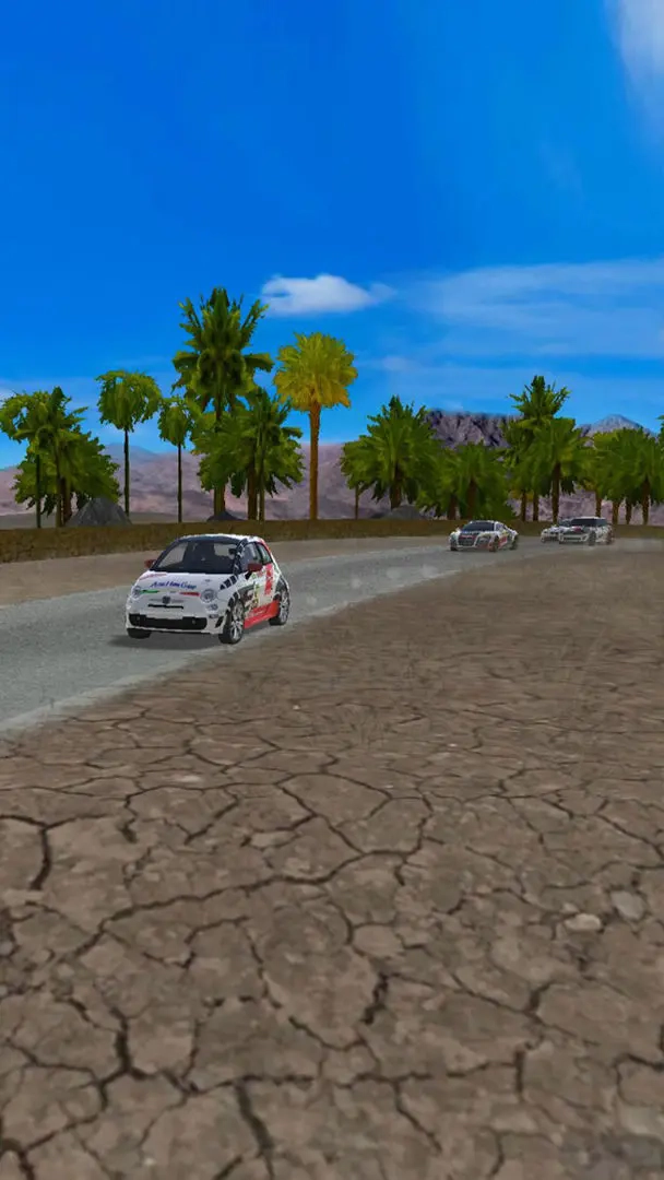 极速拉力赛车图3