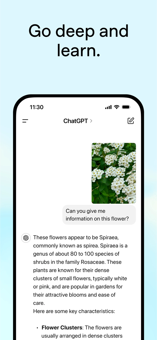 chat gpt人工智能官网版图5