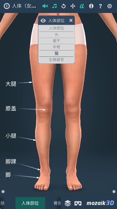Human body图3