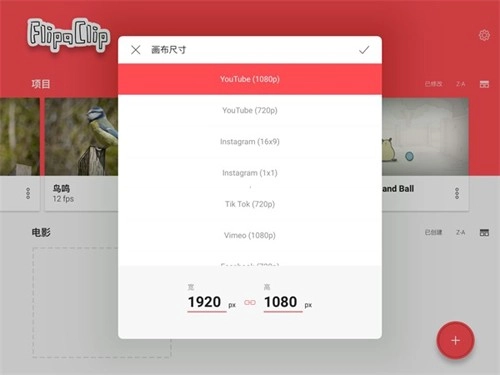FlipaClip中文版新建项目教程4