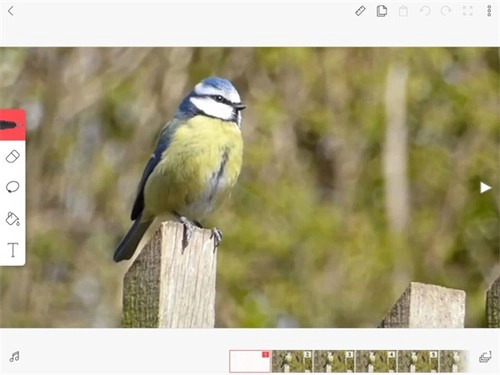 FlipaClip中文版建立图层教程4