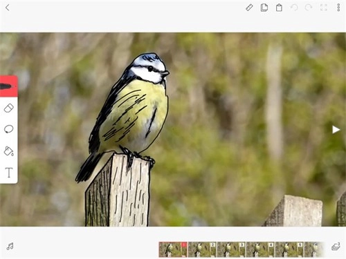 FlipaClip中文版绘制图像教程