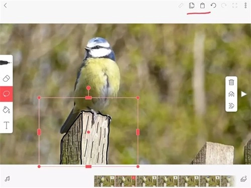 FlipaClip中文版建立图层教程8