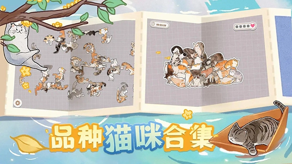 挤在一起的猫猫(1)