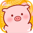 美食家小猪的大冒险