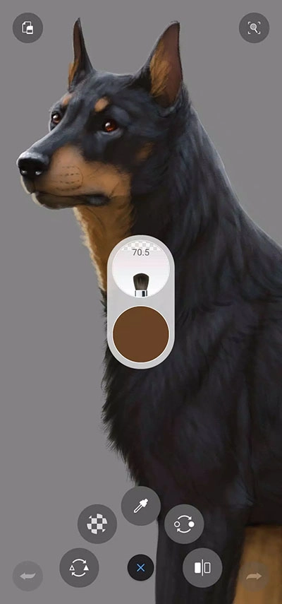 sketchbook免费版(1)