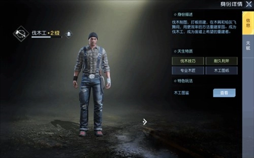 Undawn国际服身份介绍1