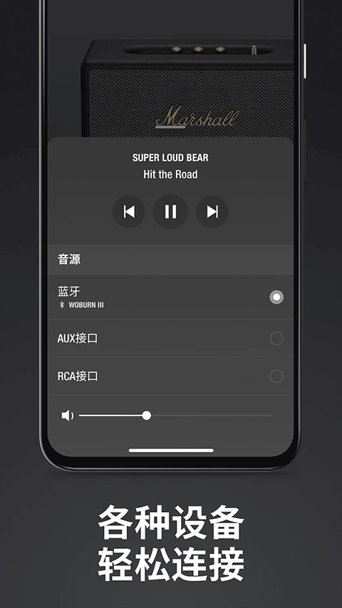 marshall bluetooth(4)