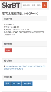 skrbt引擎浏览器手机版2