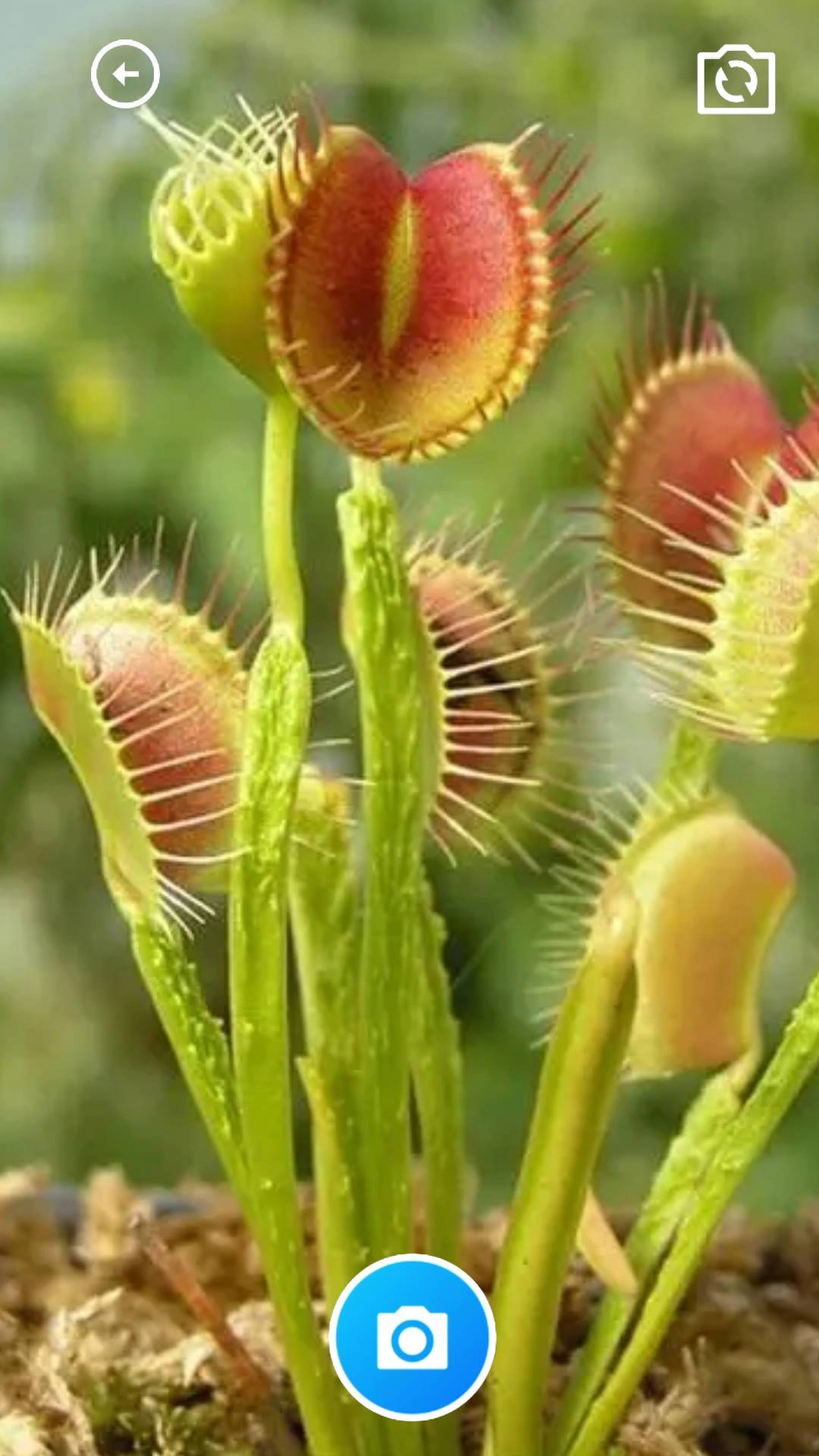 家乐全能工具箱截图3