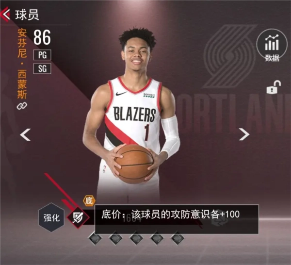 NBA篮球世界图片21